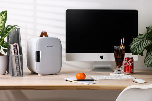 Pro 4L Mini Fridge - Grey | Refurbished
